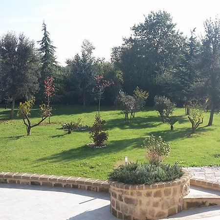 Вілла Tenuta Terra Tefra Conca della Campania Екстер'єр фото